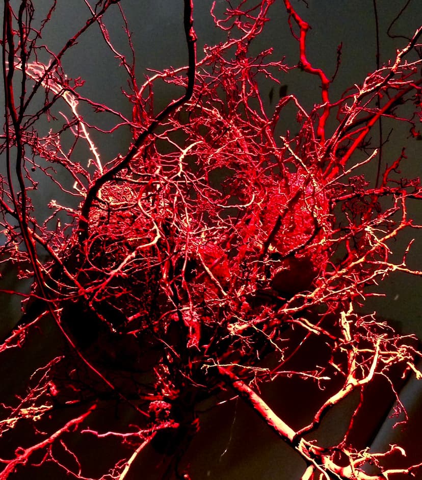 キー やきへねろんの作品 10